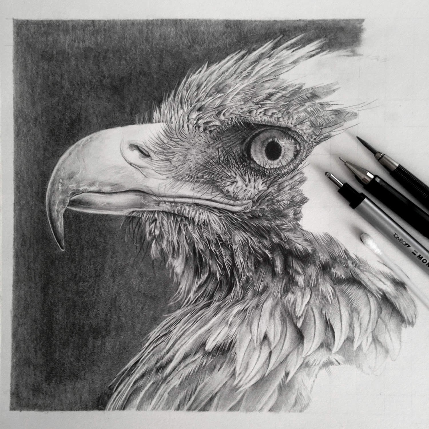 Hyper-Realistic Graphite Drawing